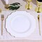 10 Pcs 12" Disposable Baroque Plastic Dinner Plates with Gold Rim